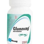 METFORMINA 500 MG 60 TABLETAS