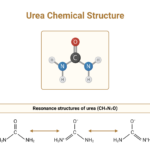 UREA