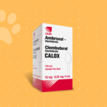 AMBROXOL / CLENBUTERON 120ML