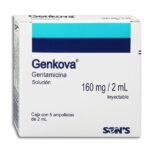 GENTAMICINA (GENKOVA) 5AMPOLLETAS
