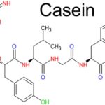 CASEINA