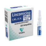 LINCOMICINA 600MG INY 1 AMPOLLETA (SONS)